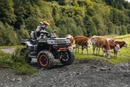 GOES TERROX 1000 LIMITED GOES TERROX 1000 LIMITED